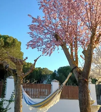 Holiday home La Espiga *