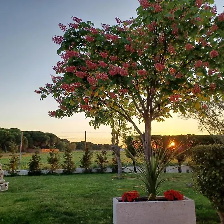 Holiday home La Espiga