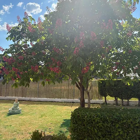 La Espiga Valladolid