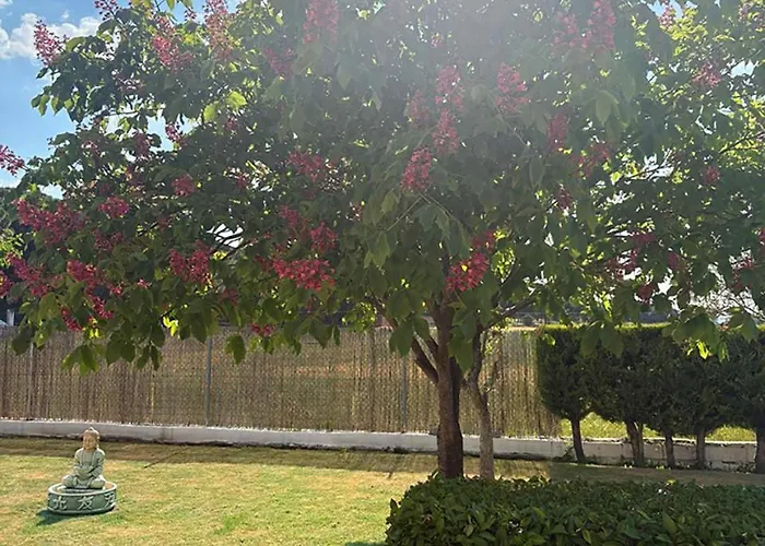 La Espiga Valladolid